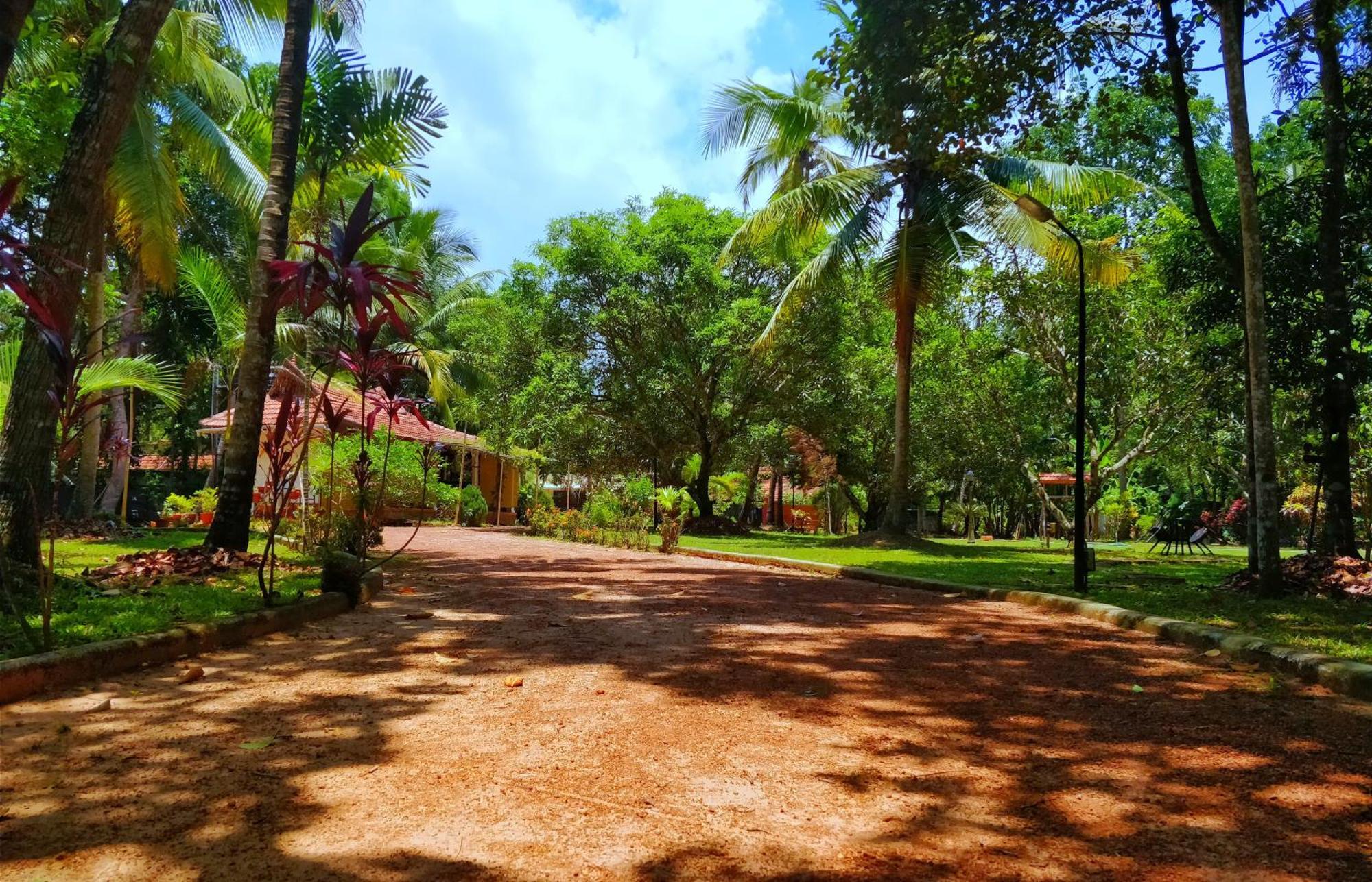 Palathra Heritage Mararikulam Kültér fotó